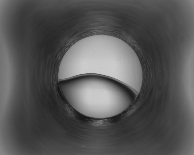 X0000084520382200703021401