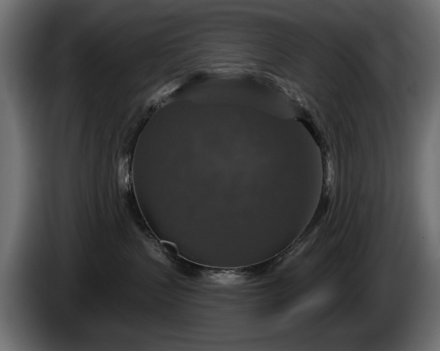 X0000084520383200703021402