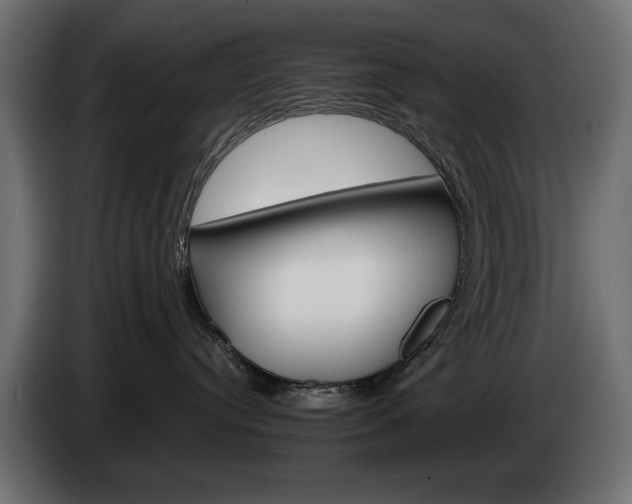 X0000084520384200703021402