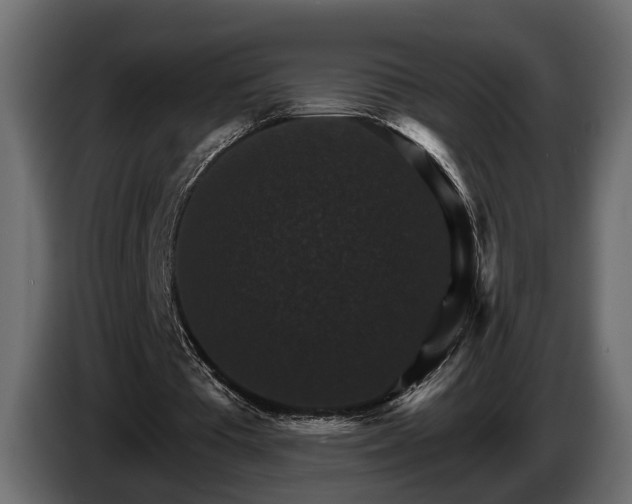 X0000084520385200703021401