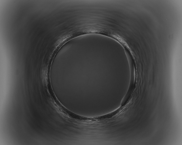 X0000084520386200703021401