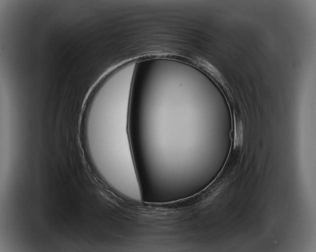 X0000084520387200703021401