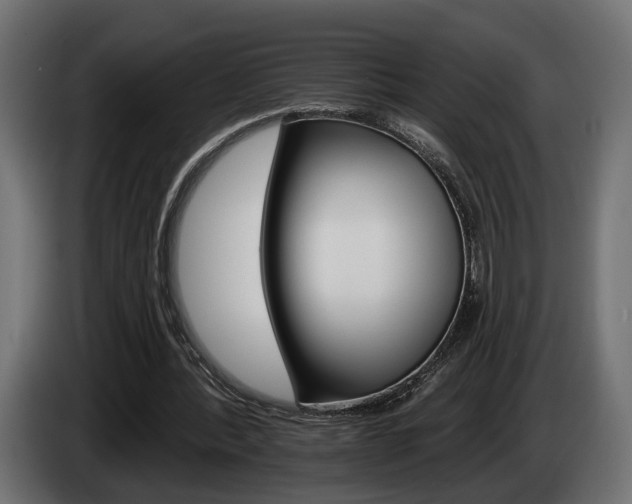 X0000084520388200703021401