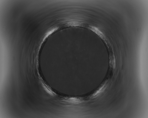 X0000084520390200703021401