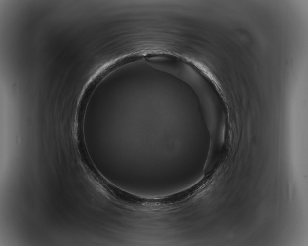 X0000084520391200703021401