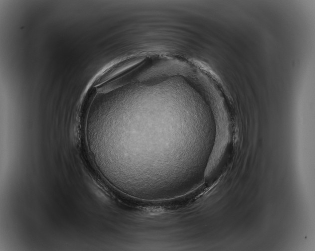 X0000084520392200703021401