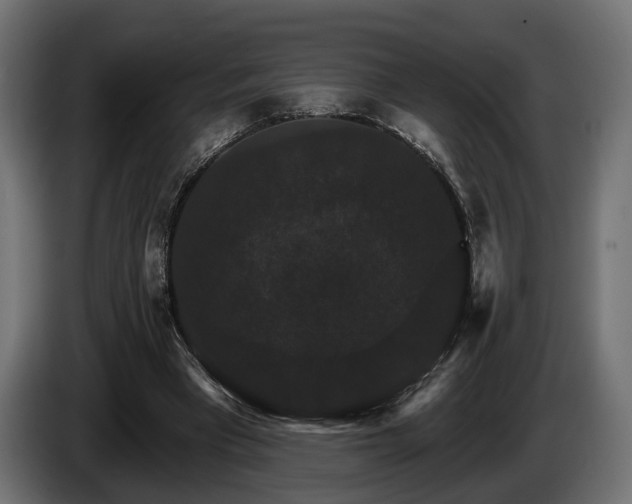 X0000084520393200703021401