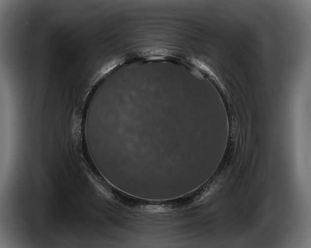 X0000084520394200703021400