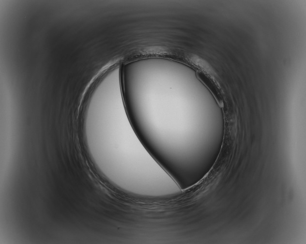 X0000084520395200703021400