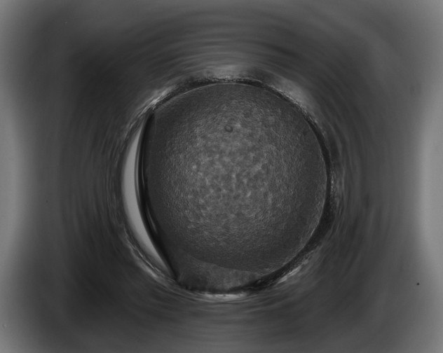 X0000084520397200703021400