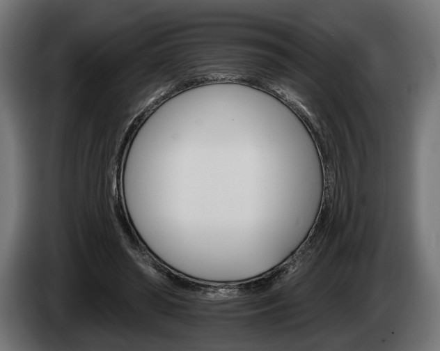 X0000084520398200703021400