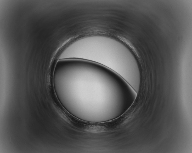 X0000084520399200703021400