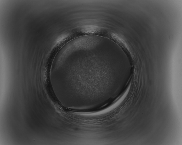 X0000084520400200703021400