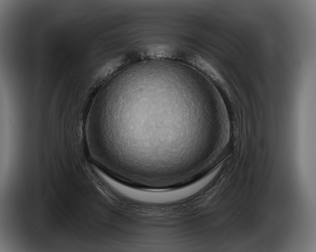 X0000084520401200703021400