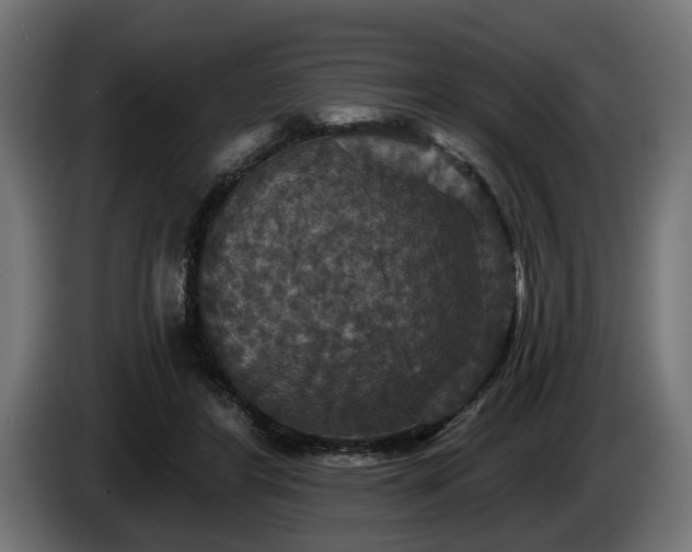 X0000084520404200703021400