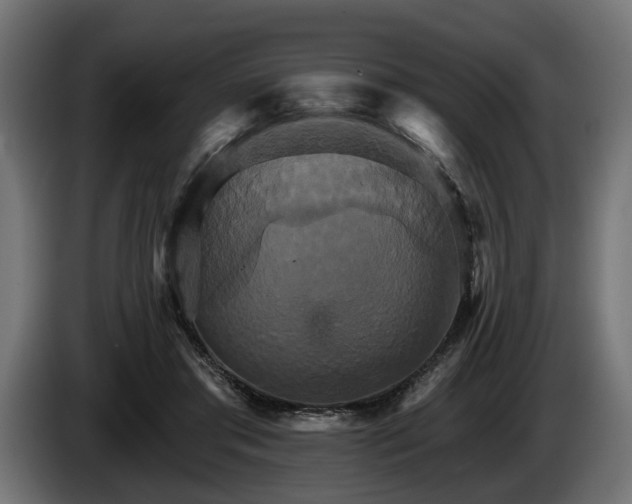 X0000084520405200703021400