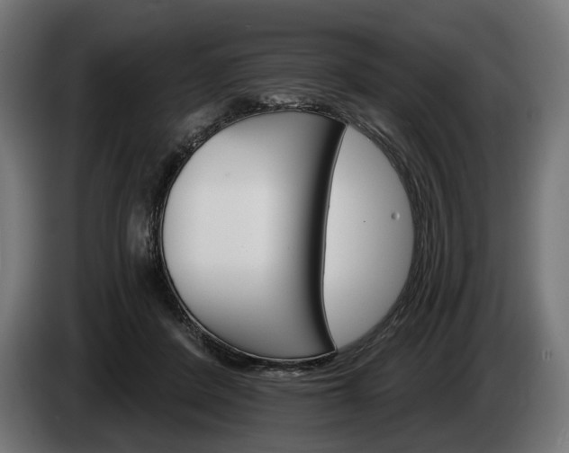 X0000084520408200703021400