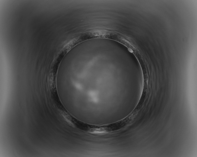 X0000084520411200703021400