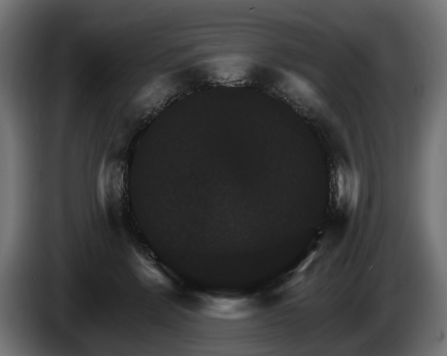 X0000084520412200703021400