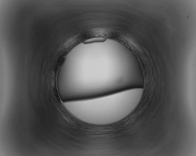 X0000084520413200703021400