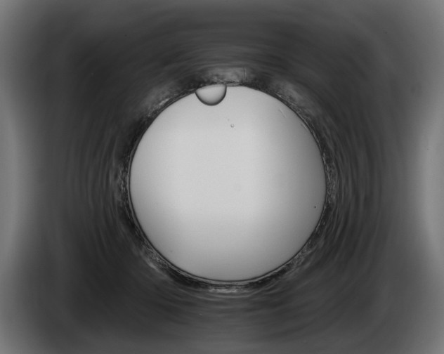 X0000084520414200703021400