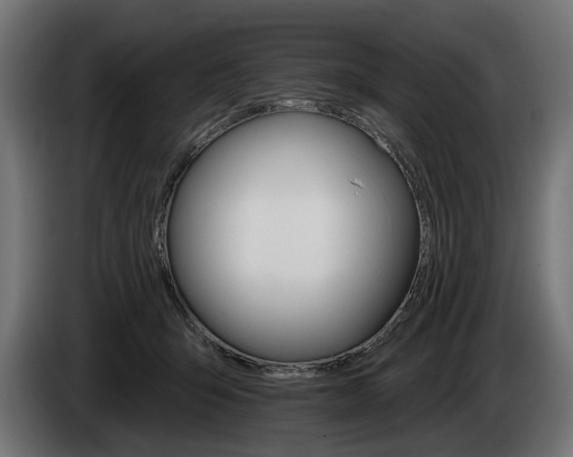 X0000084520415200703021400