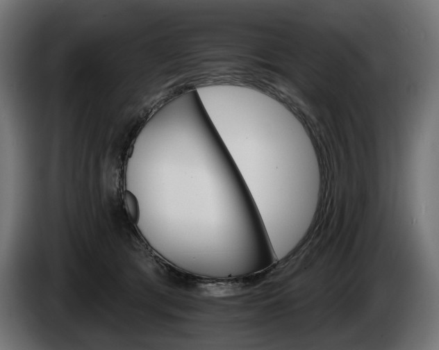 X0000084520417200703021400