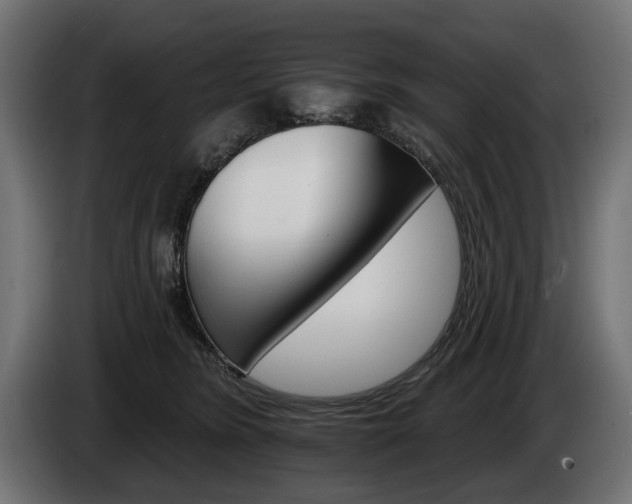 X0000084520420200703021400