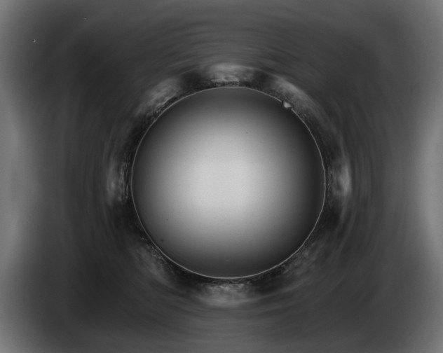 X0000084520422200703021400