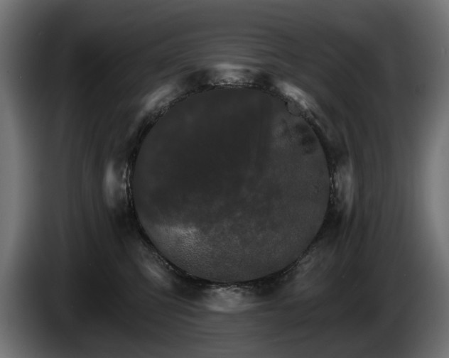 X0000084520423200703021400