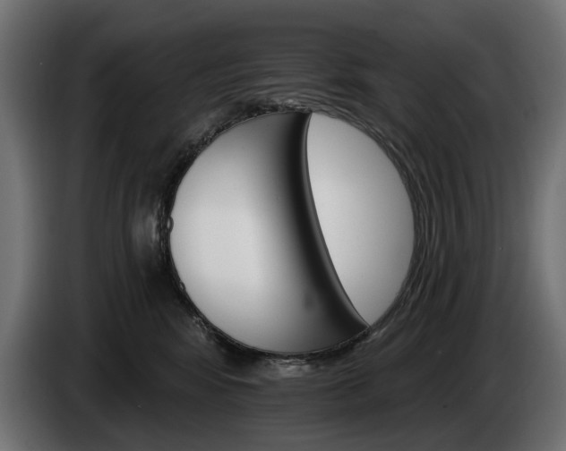 X0000084520424200703021400