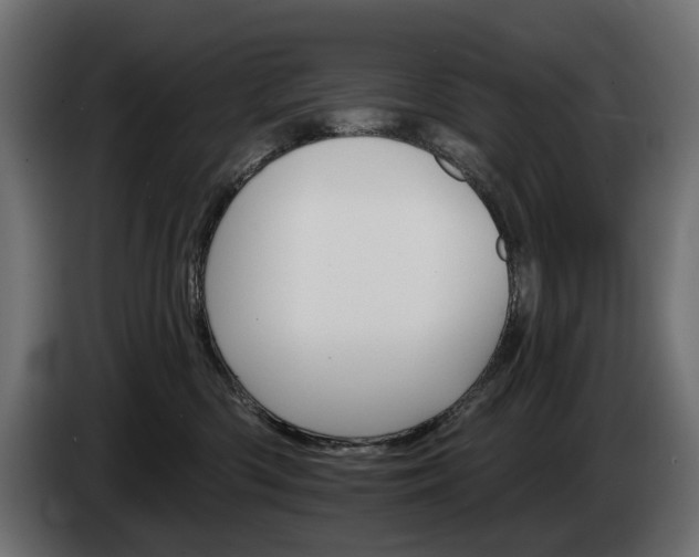 X0000084520426200703021400