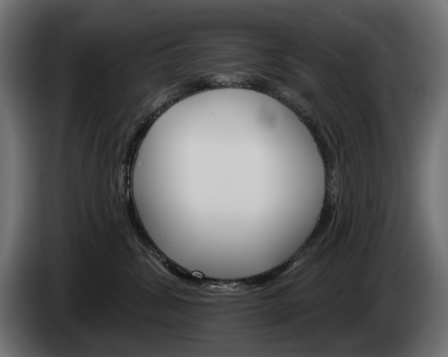 X0000084520428200703021400