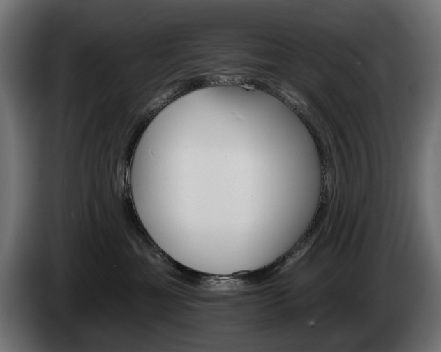 X0000084520429200703021400