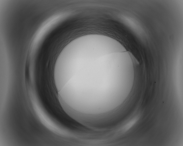 X0000084520431200703021400