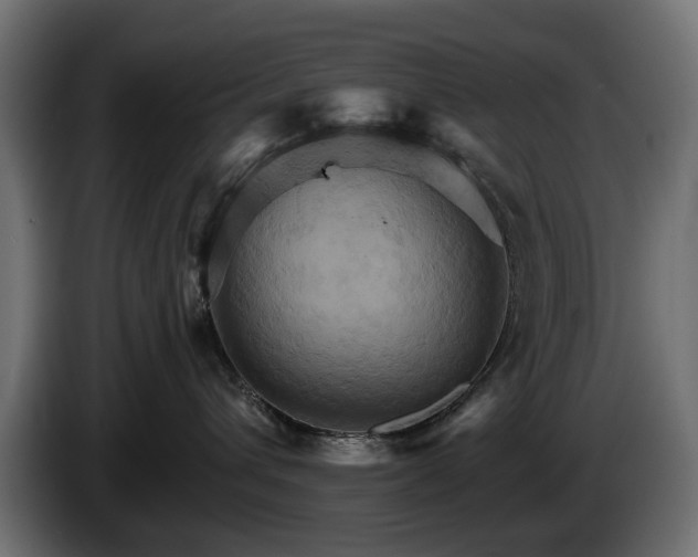 X0000084520432200703021400