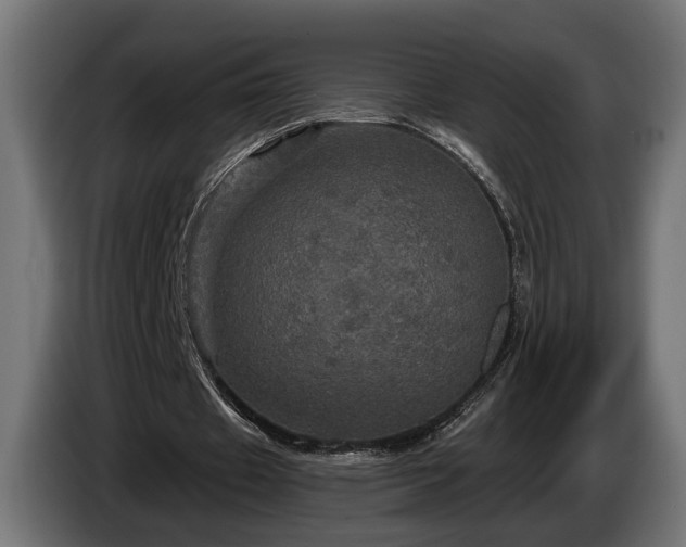 X0000084520433200703021359