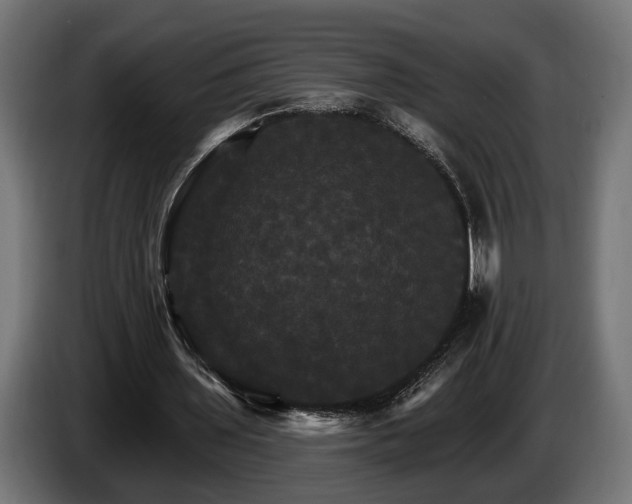 X0000084520435200703021359