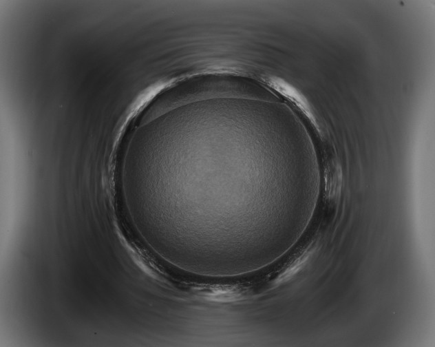 X0000084520436200703021359