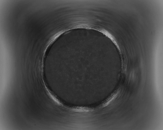 X0000084520437200703021359