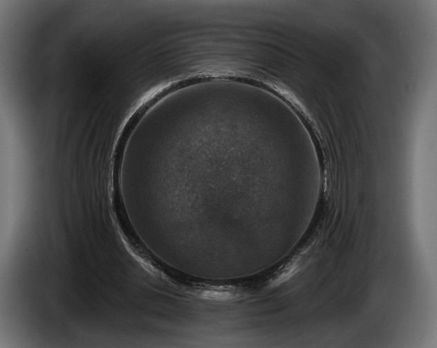 X0000084520438200703021359