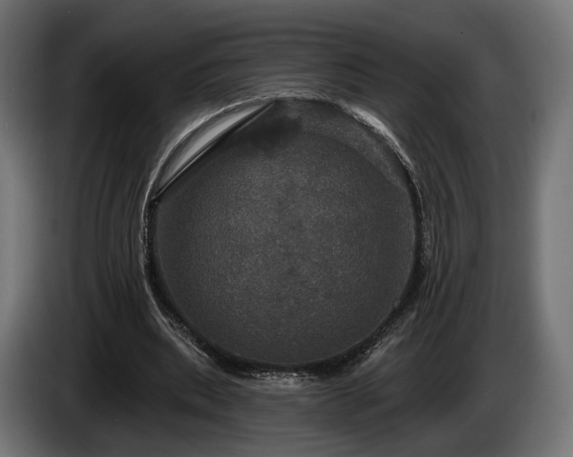 X0000084520439200703021359