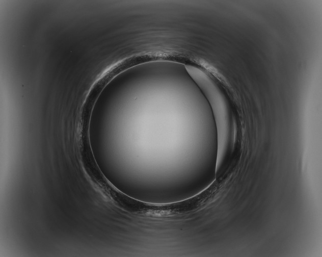 X0000084520440200703021359