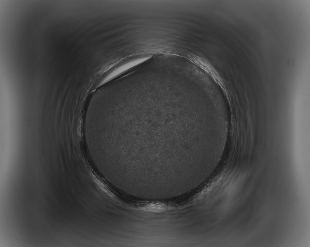 X0000084520441200703021359