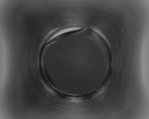 X0000084520442200703021359