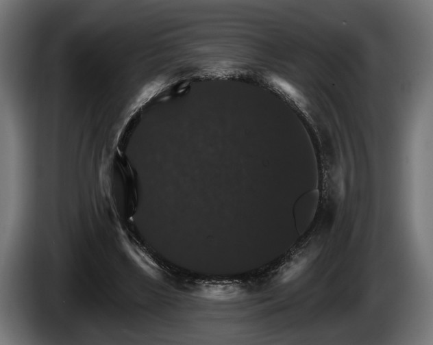 X0000084520443200703021359