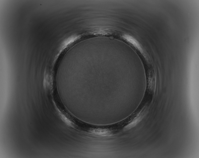 X0000084520444200703021359