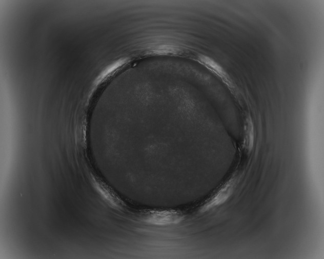 X0000084520446200703021359