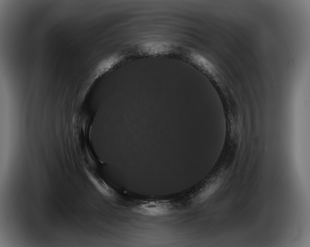 X0000084520447200703021359