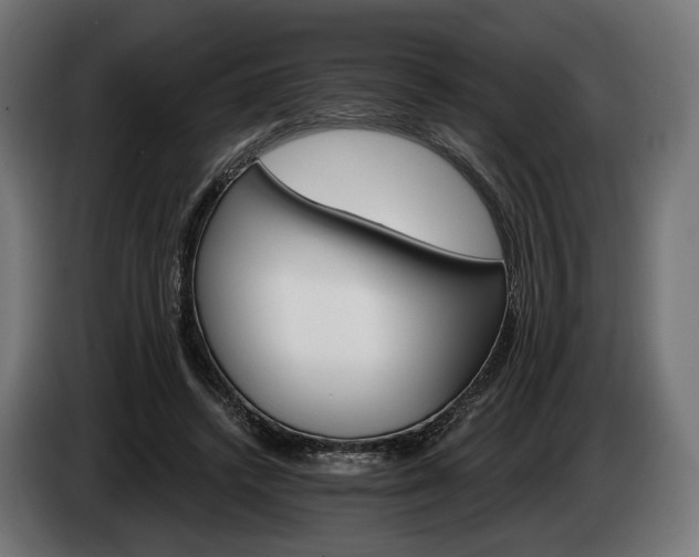 X0000084520448200703021359